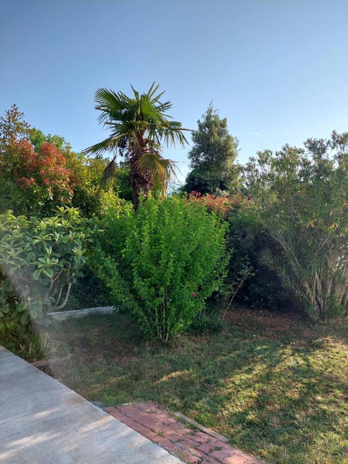 Soline Ada Pjescana Uvala Exterior foto